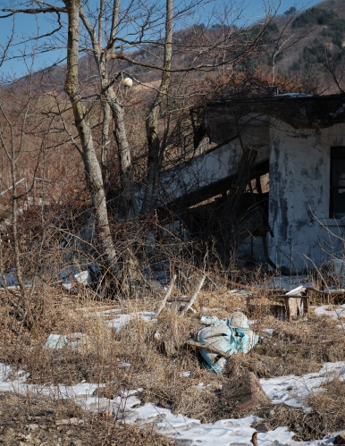 작품 썸네일