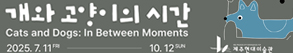RIGHT배너